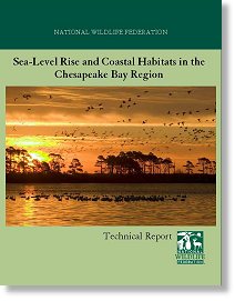 National Wildlife Foundation - Sea Level Rise and Coastal Habitats of the Chesapeake Bay Region